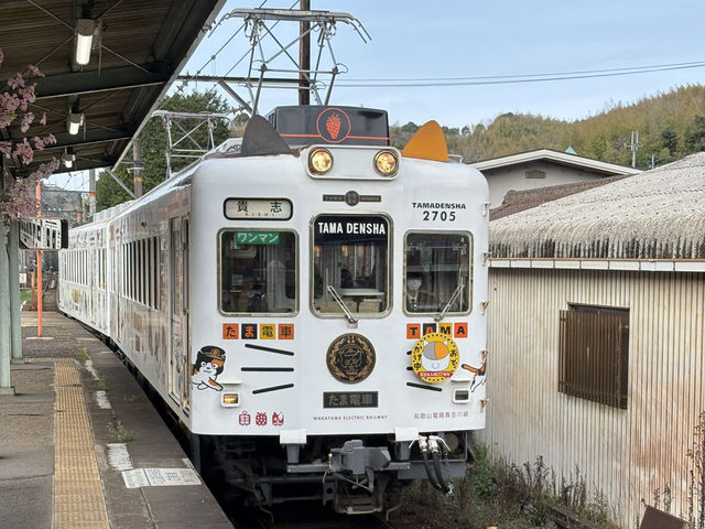 📍和歌山-貴志貓貓列車