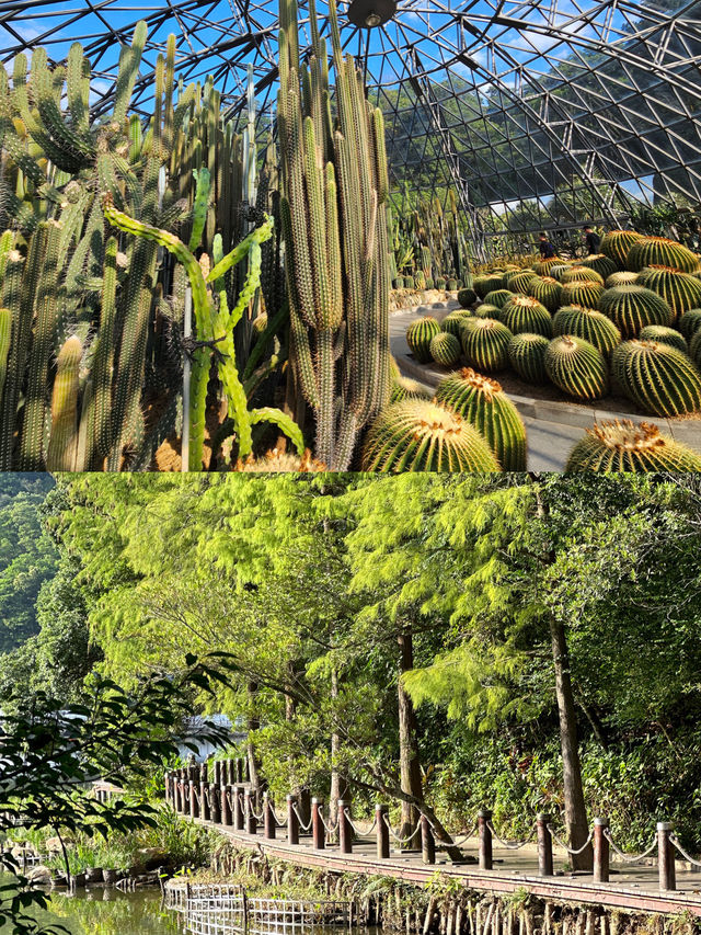 深圳l 沒想到這個仙湖植物園🌳那麼大