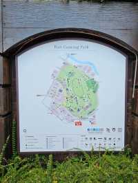 From Shadows to Skylight, Fort Canning’s Tree Tunnel Magic
