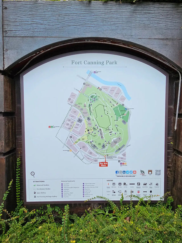 From Shadows to Skylight, Fort Canning’s Tree Tunnel Magic