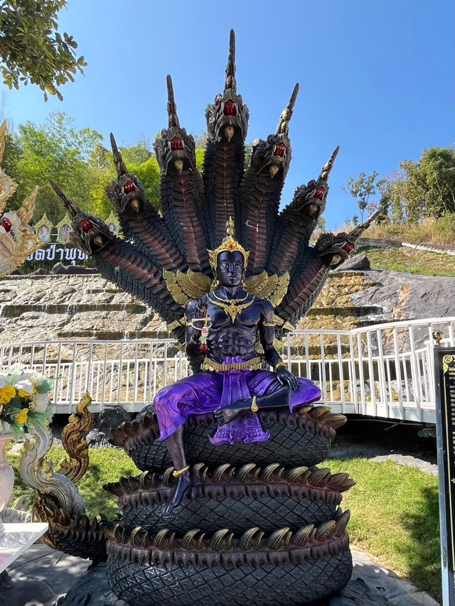 ม่อนพญานาคราช (วัดป่าพุทธชินวงศาราม) 