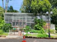 Glasshopper Cafe: A Glasshouse Escape in Kuala Lumpur