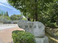 도심 속 공원 - 평화공원