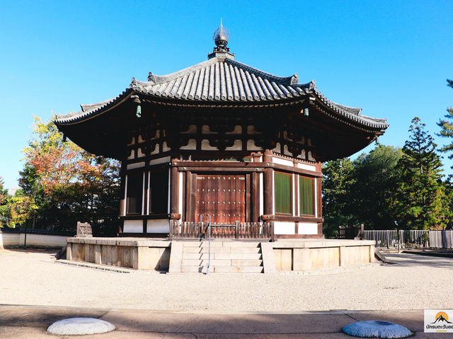 Kofukuji Temple รีวิว