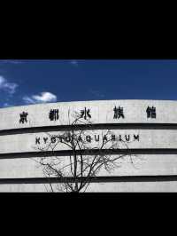 【京都水族館】街中で出会う海の世界🐬癒しと驚きが詰まった都市型水族館
