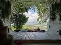 The Cocoon