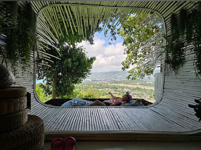 The Cocoon