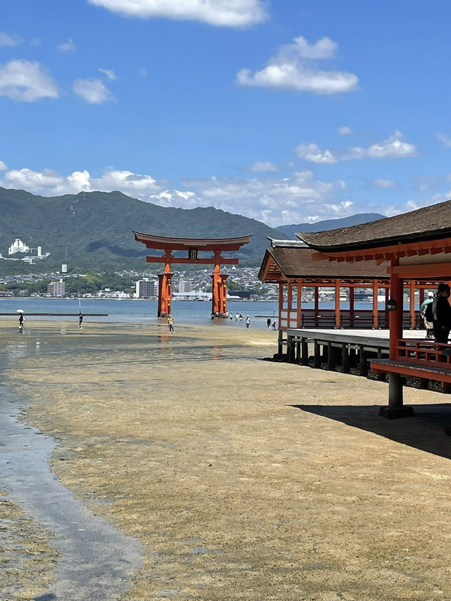厳島神社への旅 ホテル無料送迎有! 厳島神社への旅 ホテル無料送迎有!