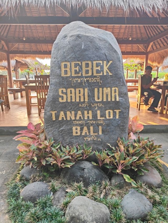 🌾 Bebek Sari Uma Tanah Lot: A Balinese Culinary Pause Amid the Paddy Fields