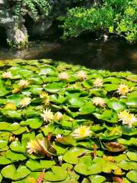Guo's Villa  – The Last Private Lakeside Garden