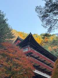 🌿 단양 1박 2일 힐링 여행 코스 