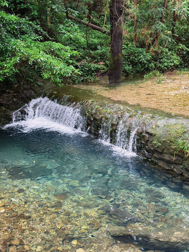 雁蕩山的大龍湫 值得一去