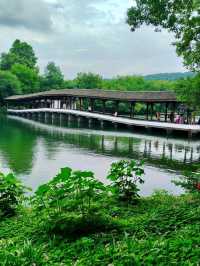 West Lake’s Hidden Waterworlds