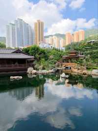 🌸 *“Tang‑Style Lotus Oasis in the City”*