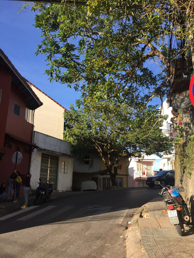 An atmospheric wonderland - Dalat