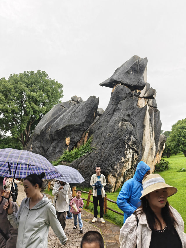 Yunnan Kunming Natural Stone Formation
