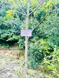 Hiking in Perhentian: More Than Just Beaches
