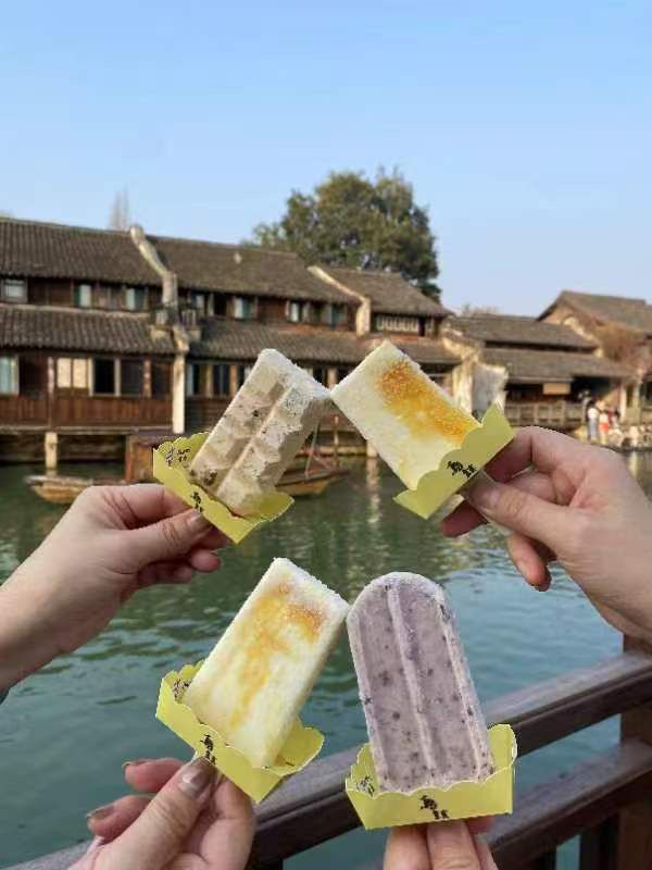 🌿 Tranquility by the Water — Daytime Strolls in Wuzhen