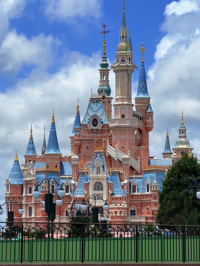 Red Lanterns & Roller Coasters: A Disney Experience Like No Other