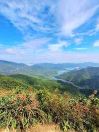 Violet Hill and The Twins: A Scenic Challenge in Hong Kong
