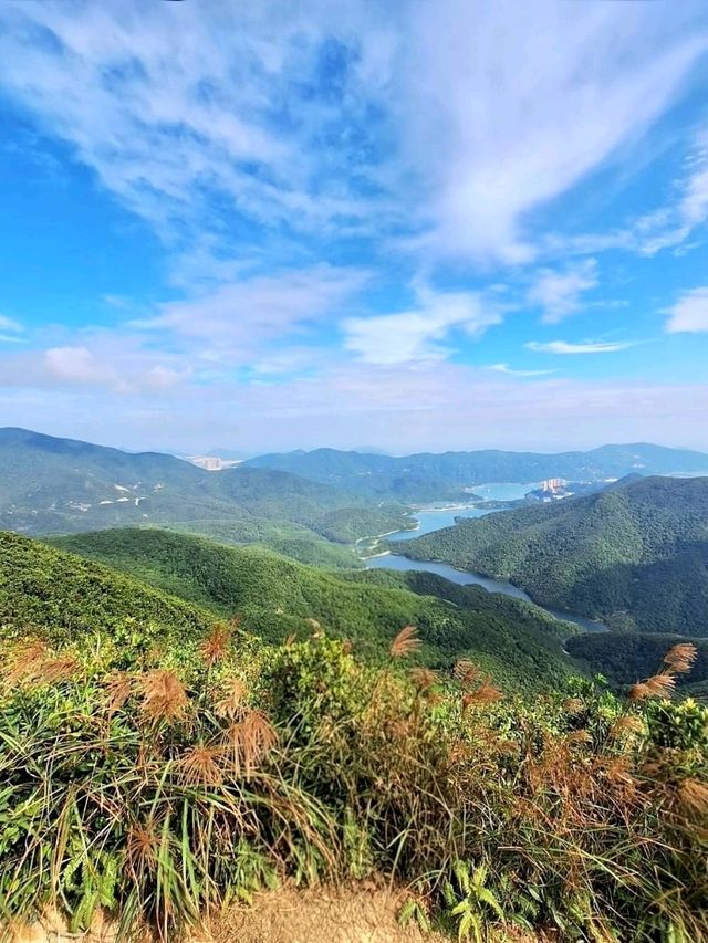 Violet Hill and The Twins: A Scenic Challenge in Hong Kong