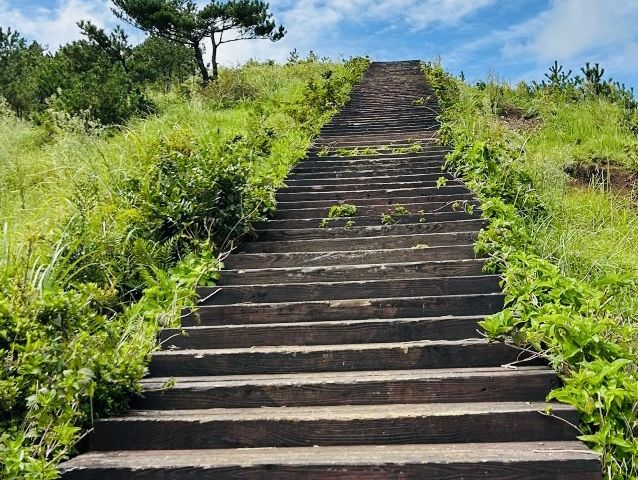 Observing Jeju's Unique Ecosystem and Flora