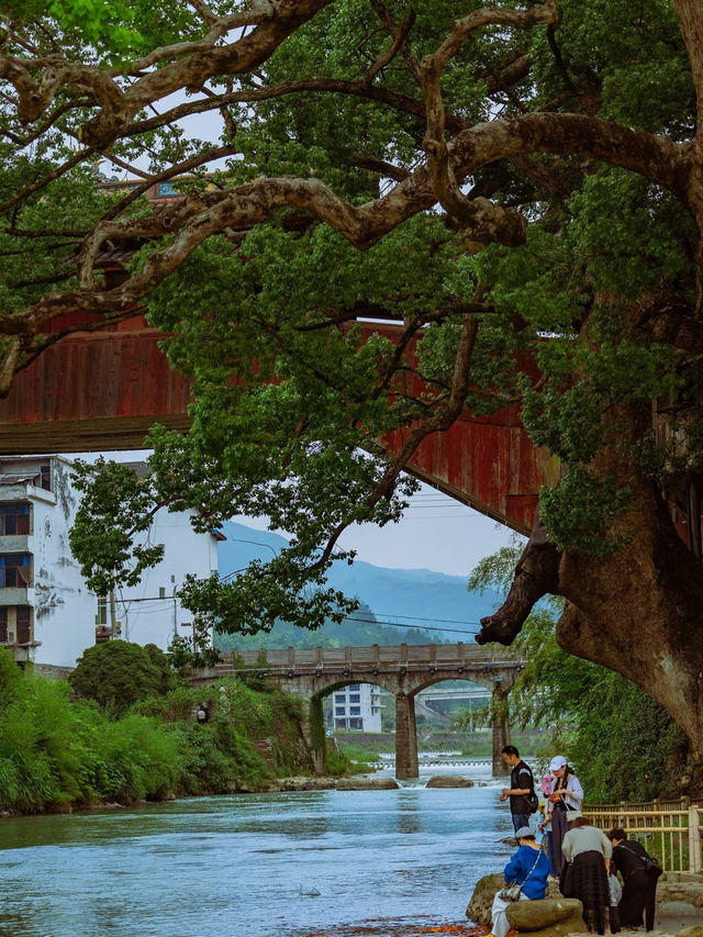 🎋 Wenzhou’s Hidden Ancient Bridge – Free Entry & Endless Lucky Koi!