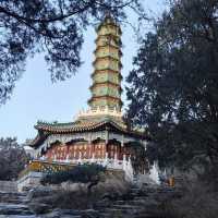 🍂 “Where the Red Leaves Whisper: An Autumn Stroll Through Xiangshan Park”