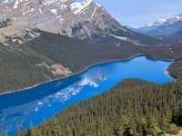 Peyto Lake – “Canada’s Wolf-Shaped Wonder”