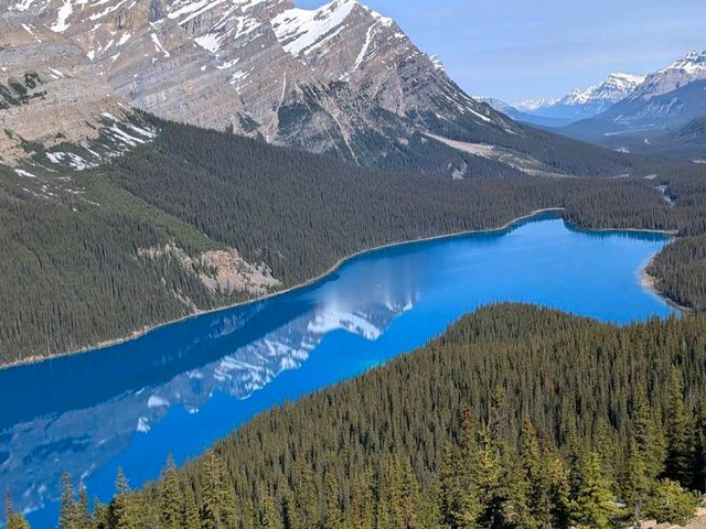 Peyto Lake – “Canada’s Wolf-Shaped Wonder”