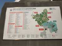 A Day with Pandas: Visiting the Chengdu Research Base of Giant Panda Breeding