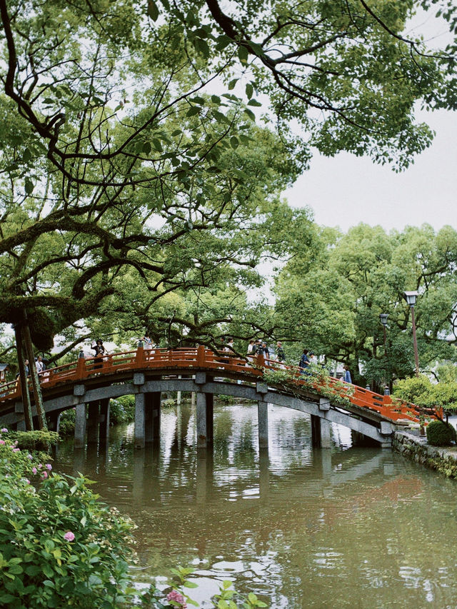 Dazaifu Tenmangu, Summer in Fukuoka ☀️ Dazaifu Tenmangu, Summer in Fukuoka ☀️