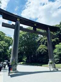 在城市森林中尋求心靈平靜：東京明治神宮遊記