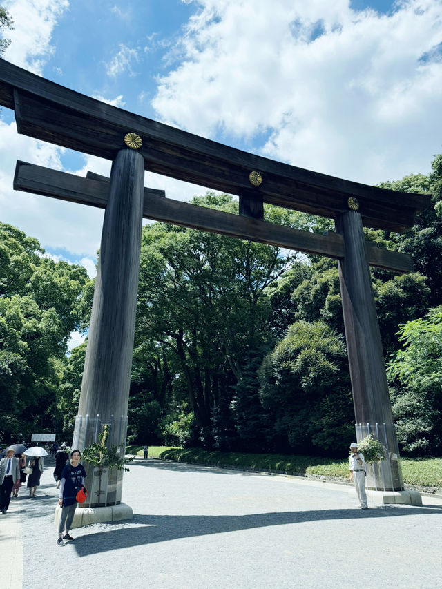 在城市森林中尋求心靈平靜：東京明治神宮遊記