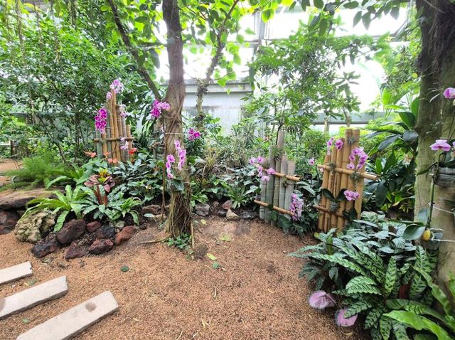 Shanghai Botanical Garden