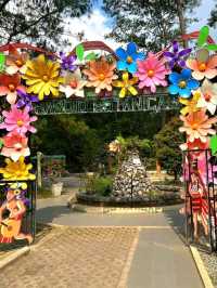 Baguio Botanical Garden: A Green Sanctuary in the City of Pines