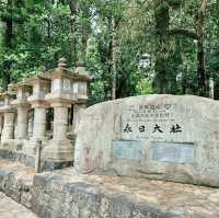 Kasuga Taisha Shrine : Nara’s Timeless Lantern Sanctuary