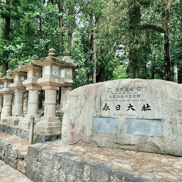 Kasuga Taisha Shrine : Nara’s Timeless Lantern Sanctuary