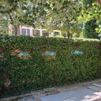 Peggy Guggenheim Collection, Venice (Italy)