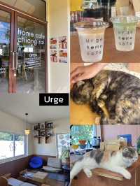5 คาเฟ่เชียงราย ไม่ควรพลาด