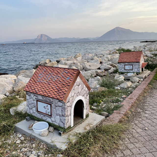Patras: Greece’s Vibrant Coastal Gem Patras: Greece’s Vibrant Coastal Gem