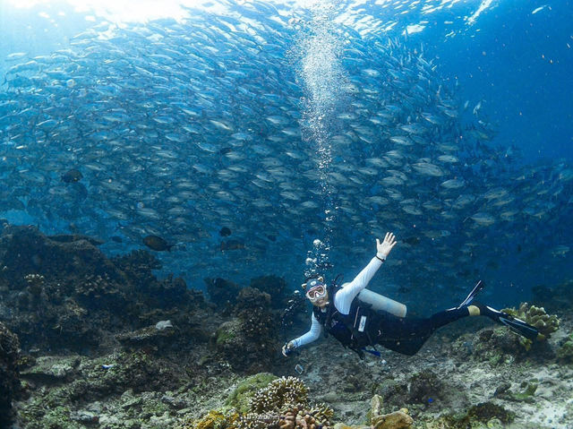 ดำน้ำที่ สิปาดัน สวรรค์ใต้น้ำ มาเลเซีย