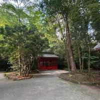 Hakone Shrine / Torii on Lake Ashi (Kanagawa)