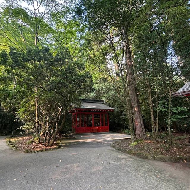 Hakone Shrine / Torii on Lake Ashi (Kanagawa)