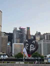 陽光下的繁華都市探索🌅🎡黃昏時分的中環碼頭