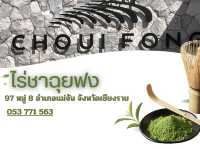 ไร่ชาฉุยฟง จังหวัดเชียงราย 🍵