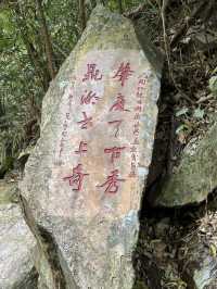 感受神級養肺之旅，在鼎湖深呼吸