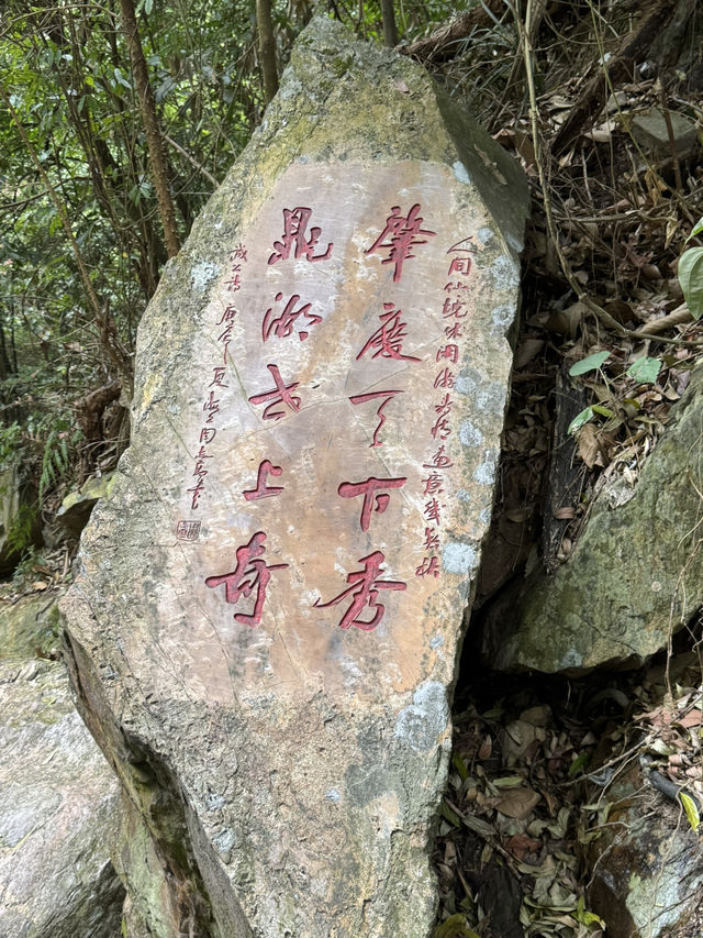 感受神級養肺之旅，在鼎湖深呼吸