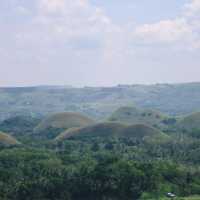 เขาช็อกโกแลต (Chocolate Hills)|