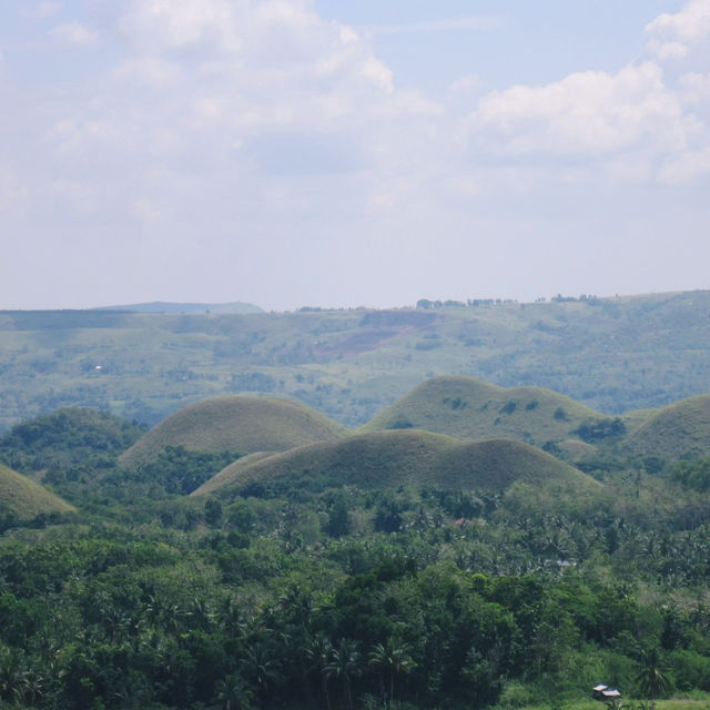 เขาช็อกโกแลต (Chocolate Hills)|